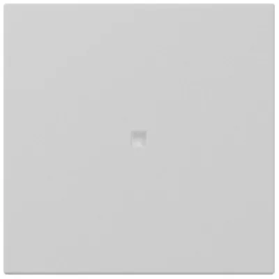 GIRA Schalterwippe 3490015 | System 55 | Kontrollwippe gerade | Kunststoff Thermoplast | matt lackiert | grau