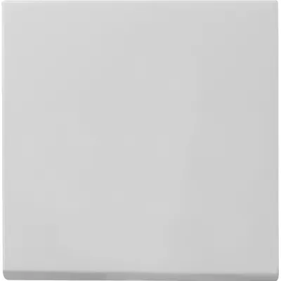 GIRA Wippe Schalter System 55 0296015 | für Bussystem | 1-fach | Kunststoff Thermoplast | grau matt | lackiert