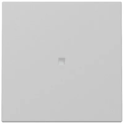 GIRA Wippe Schalter 3290015 | Kontrollfenster | System 55 | Kunststoff Thermoplast | grau matt lackiert | IP20