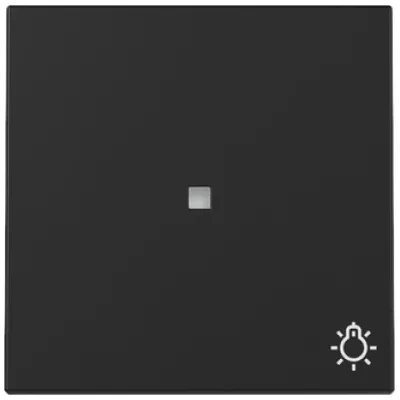 GIRA Wippe Schalter 3674005 | Kontrollfenster Symbol Licht | System 55 | Kunststoff Thermoplast | Schwarz matt