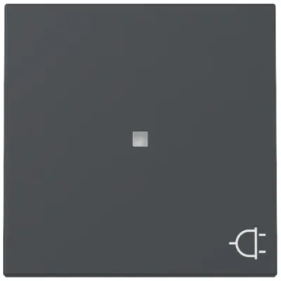GIRA Wippen Schalter 329128 | Kontrollwippe Steckdose System 55 | Kontrollfenster | anthrazit | Kunststoff | IP20