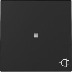 GIRA Wippe Kontrollf. + Symb. Steckd. Schwarz m 3291005