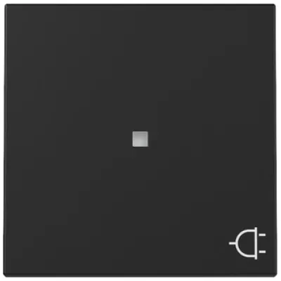 GIRA Wippe Steckdose 3291005 | Kontrollfenster & Symbol | System 55 | zweiteilig | Thermoplast | IP20 | schwarz matt