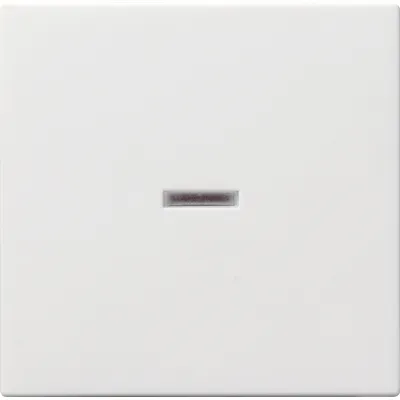 GIRA Wippe für Schalter/Taster 029027 | Kontrollfenster | System 55 | Kunststoff | IP20 | reinweiß matt | RAL 9010