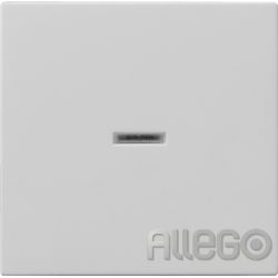 GIRA Wippe Kontrollfenster grau 0290015