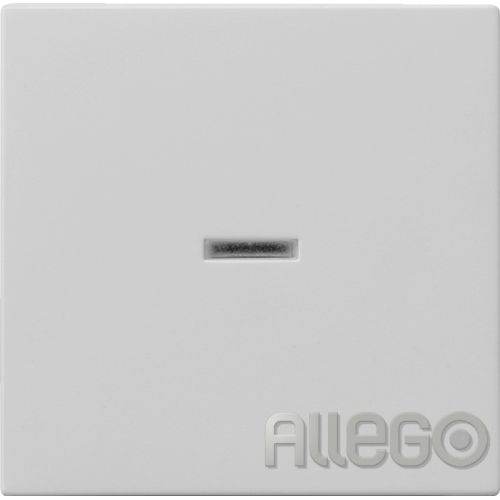 Bild: GIRA Wippe Kontrollfenster grau 0290015