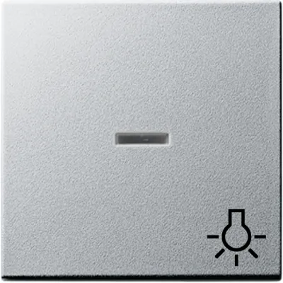 Gira Wippe Licht alu m.Fenster,System55 067426