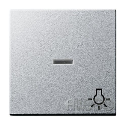Bild: Gira Wippe Licht alu m.Fenster,System55 067426