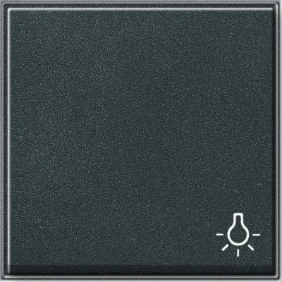 GIRA Wippe Schalter/Taster 028567 TX_44 | Symbol Licht | IP44 Unterputz | Diebstahlschutz | Kunststoff | anthrazit