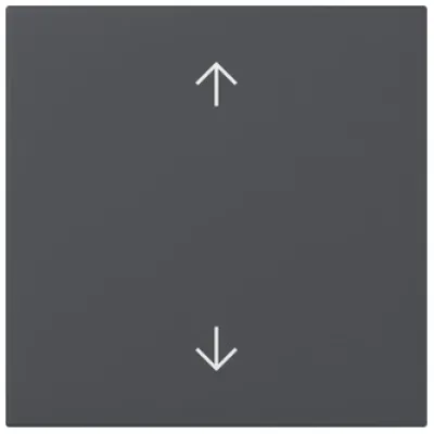 GIRA Wippe 361628 | Schalter System 55 | Pfeilsymbole | Ersatzteil | anthrazit