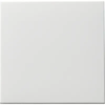 GIRA Wippe Tastschalter 091603 | System 55 | Wechsel | einteilig | glänzend | Ersatzteil | Reinweiß