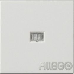 Gira Wippe rws m.Kontroll-Fenster 029827