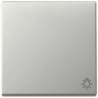 GIRA Wippe Schalter 3285600 | Symbol Licht | System 55 | Edelstahl | Metall | Klemmbefestigung | IP20 | Farbe Edelstahl