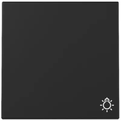 GIRA Wippe Schalter 3285005 | Symbol Licht | System 55 | Kunststoff | schwarz matt | Klemmbefestigung | IP20