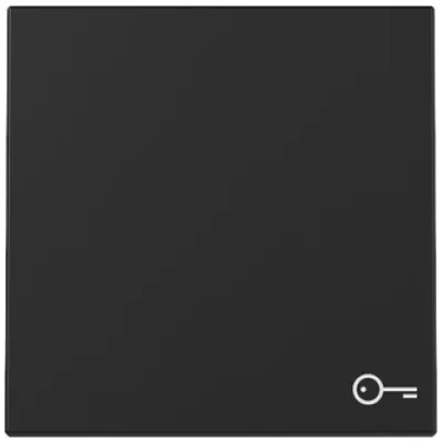 GIRA Wippe Schalter 3287005 | Symbol Tür | System 55 | Kontrollwippe | Kunststoff matt lackiert | IP20 | schwarz