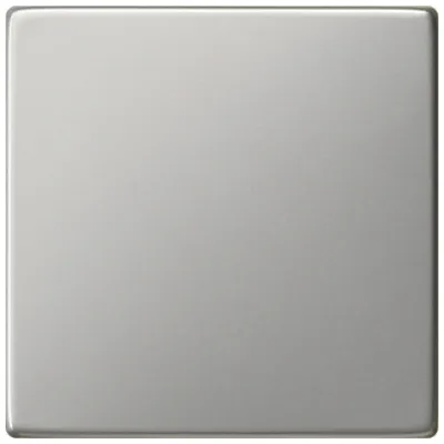 GIRA Wippe für Tastschalter 0916600 | System 55 | Edelstahl | einteilig | Klemmbefestigung | IP20 | metallfarben