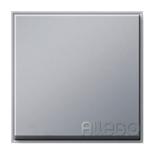 Bild: Gira Wippe Wechselsch. alu 029665