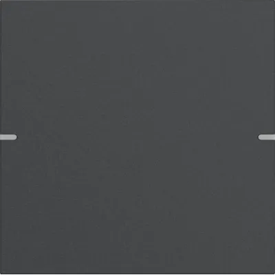 GIRA Wippenset 1-fach 5021928 | KNX Tastwippe | Tastsensor 4 | Aluminium Metall lackiert | anthrazit