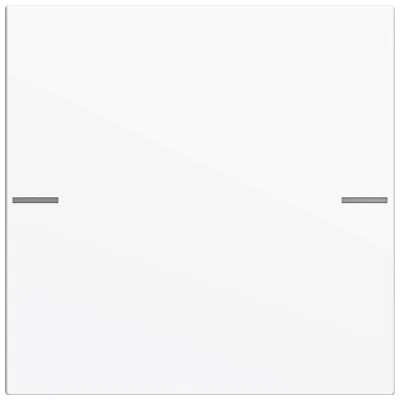 GIRA Wippenset 1-fach 575103 | KNX Tastsensor System 55 | Kunststoff Thermoplast | glänzend | Reinweiß RAL 9010