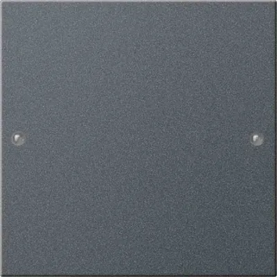 GIRA Wippenset 1-fach 218128 | System 55 | KNX kompatibel | Anthrazit lackiert | Metall