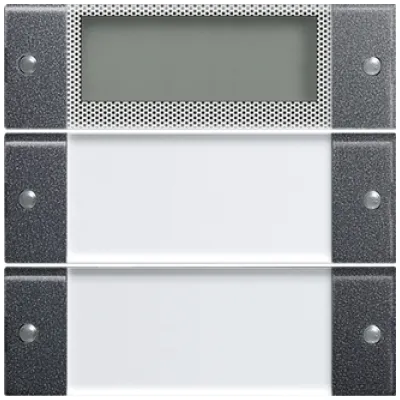 Gira Wippenset 2-fach Plus 214228 | Tastwippe KNX System 55 | beschriftbar | mit Beschriftungsfeld | anthrazit