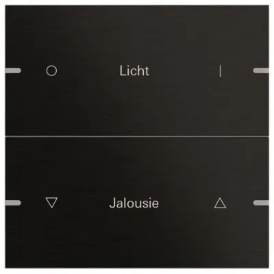 GIRA Wippenset 2-fach 5032126 | Tastwippe KNX | Aluminium | individuell beschriftbar | schwarz