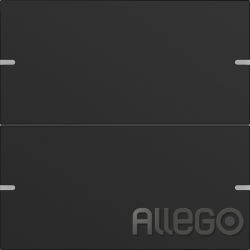 GIRA Wippenset 2-fach Tastsens.4 TS4 sw 5022905