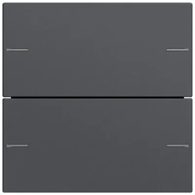 GIRA Wippenset 2-fach 575228 | Tastsensor 4 | KNX System 55 | Thermoplast | anthrazit