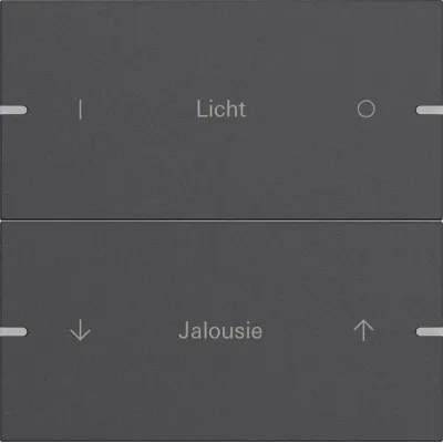 GIRA Wippenset 2-fach 5032928 | Tastwippe individuell für Tastsensor 4 KNX | Aluminium lackiert | anthrazit