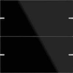 GIRA Wippenset 2fach für TS4 502205 Tastsensor 4, Glas Schwarz