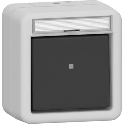 GIRA Wippschalter 310631 | Wechselschalter | 10AX 250V | Aufputz IP66 | Beschriftungsfeld | beleuchtet | grau