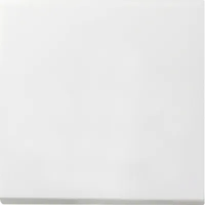 GIRA Wippe Tastschalter 0916112 | Wechsel Flächenschalter | Ersatzteil | reinweiß glänzend