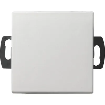 Gira Wipptaster o.Linse rws-gl 1pol 013803