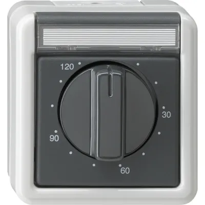 Gira Zeitschalter 032130 | mechanisch | 2-polig | 16A | 0–120 min | Aufputz | IP44 | grau