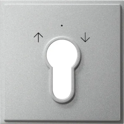 Gira Abdeckung für Schlüsselschalter 066465 TX44 | Jalousie Symbol Pfeile | IP44 | Aluminium | Unterputz