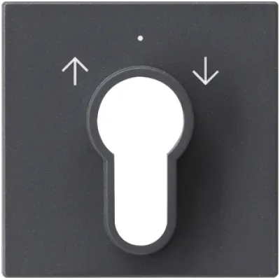 Gira Abdeckung für Schlüsselschalter 066428 | System 55 | Jalousie | Symbol Pfeile | 2-polig/1-polig | anthrazit