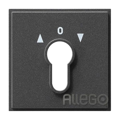 Bild: Gira Zentralpl. Schlüssel. anth TX44 066467