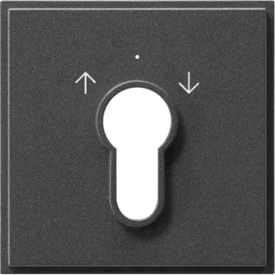 Gira Abdeckung Schlüsselschalter TX44 066467 | Jalousie | 2-polig & 1-polig | Symbol Pfeile | IP44 | anthrazit