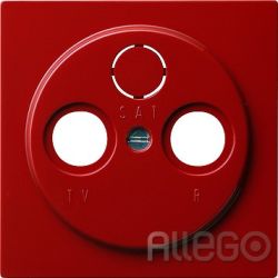 Gira Zentralplatte Antenne rt S-Color 086943