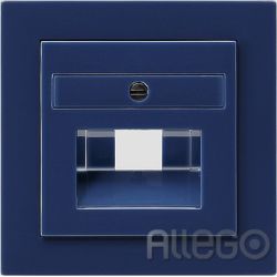 Gira Zentralplatte UAE/IAE bl S-Color 027046