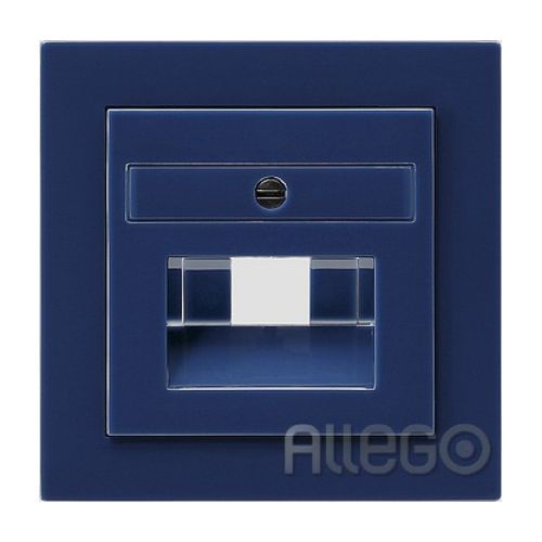 Bild: Gira Zentralplatte UAE/IAE bl S-Color 027046