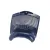 Bild: Gitter Ausblas-; NORDKAPBLAU-METALLIC 00642094
