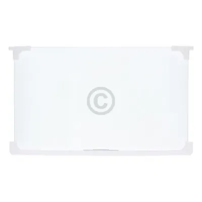 Glasplatte Ignis 482000097600 460x280 mit Leiste für Kühlschrankinnenraum