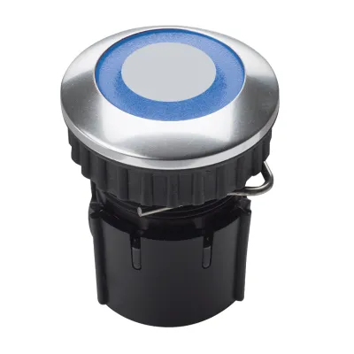 GROTHE Klingeltaster PROTACT 220 LED 63232 | Edelstahl V2A | LED-Ring blau | rund | Unterputz | IP54 | Ø22mm