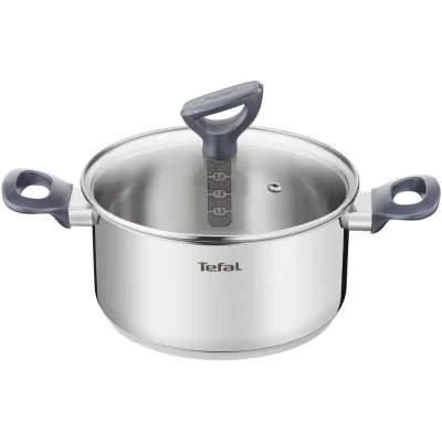 Tefal Kochtopf Daily Cook G71244 | 20cm mit Deckel | Edelstahl | Messskala | Ausgießhilfe | Induktion
