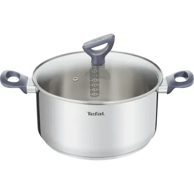Tefal Kochtopf Daily Cook G71246 | 24cm Induktion Edelstahl | Glasdeckel mit Dampfauslass | Spülmaschinenfest | silber