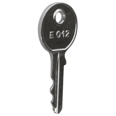 Hager Ersatzschlüssel FZ457 für Schließung FZ455N | Universell | Zählerschrank | Stahl | DIN VDE 0603/1 | Silber