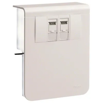 Hager Geräteträger Daten SL201159079016 2xCat.6A 20x115mm verkehrsweiß