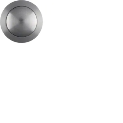 Hager Klingeltaster Einschraub-Taste REH015X | rund | Unterputz | Edelstahl | Durchmesser 19mm | einbautiefe 27,8mm