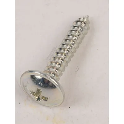 Haier Trockner-Schraube 49052064 Befestigung